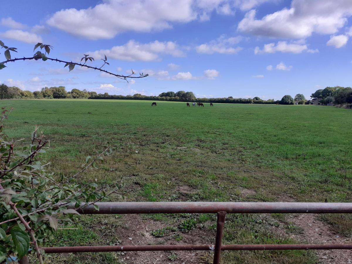 Glamping In Wiltshire The Green Knoll Is A Charm Chippenham  Esterno foto